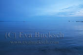 Foto av Eva Bucksch